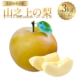 【ふるさと納税】【レビューキャンペーン対象商品】《先行予約》山之上の梨（品種はおまかせ） 約3kg（5～8玉） 愛甘水・幸水・豊水・あきづき なし ナシ くだもの 果物 果実 フルーツ 冷蔵 岐阜県産 国産 岐阜県 美濃加茂市 送料無料 【2025年8月上旬～10月上旬発送予定】