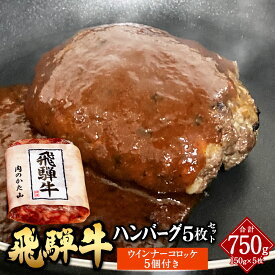 【ふるさと納税】【レビューキャンペーン対象商品】飛騨牛 ハンバーグ 5枚 セット（1枚150g）ウインナー コロッケ 5個付き1個当たり60g | 肉のかた山 牛肉 肉 お肉 ブランド牛 国産牛 和牛 黒毛和牛 150g 惣菜 簡単調理 岐阜 岐阜県 美濃加茂 美濃加茂市 送料無料 M16S29