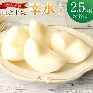 �y�ӂ邳�Ɣ[�Łz�s��s�\��t�u�ۍ�R�c�_���v�R�V�㗜 �K�� 1�� �i ��2.5kg �^ 5�`8�� �j �� �i�V �Ȃ� �������� �ʕ� �ʎ� �t���[�c �① �򕌌��Y ���Y �򕌌� ���Z���Ύs �������� �y2026�N8