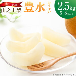 �y�ӂ邳�Ɣ[�Łz�s��s�\��t�u�ۍ�R�c�_���v�R�V�㗜 �L�� 1�� �i ��2.5kg �^ 5�`8�� �j �� �i�V �Ȃ� �������� �ʕ� �ʎ� �t���[�c �① �򕌌��Y ���Y �򕌌� ���Z���Ύs �������� �y2026�N8