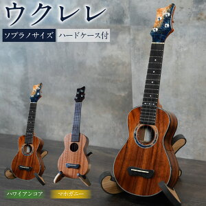 yӂ邳Ɣ[Łzy Leaf Instruments z EN u Ƃt v \vm TCY nCA RA E }zKj[ n[hP[Xt b Leaf Instruments y y y IWi Â S P