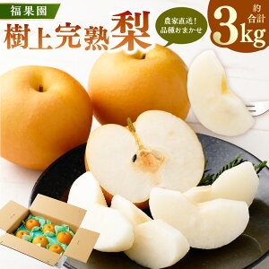 �y�ӂ邳�Ɣ[�Łz�y��s��t�z���ʉ��̎��㊮�n�� �_�ƒ����i�킨�܂����i3kg���x�j5�`9�� | ���ʉ� �� �ʕ� �ʎ� ���n �t���[�c �① �_�ƒ��� �V�N �i�� ���܂��� �L�� ���� �����Â� �Ñ� 