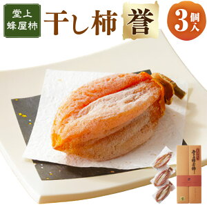 yӂ邳Ɣ[Łzyʌz q I` r ` u _ v  JL ` ق ق`  ʕ ʎ t[c 蕨 Mtg 򕌌Y Y 򕌌 ZΎs y2026