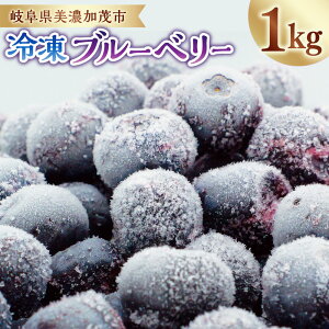 �y�ӂ邳�Ɣ[�Łz �Ⓚ�u���[�x���[ 1kg 1�� ���n �u���[�x���[ �������� �ʕ� �ʎ� �t���[�c �򕌌��Y ���Y �Ⓚ �򕌌� ���Z���Ύs �������� �y2026�N5�����{�܂łɔ����\��z