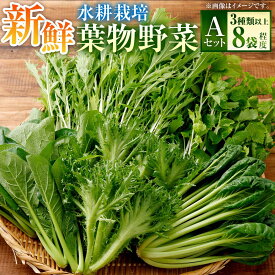【ふるさと納税】 水耕 栽培 新鮮 葉物 野菜 Aセット GreensFarm ホタル サラダ 和え物 M06S22 岐阜県 美濃加茂市 送料無料【2026年11月上旬～2027年6月上旬発送予定】