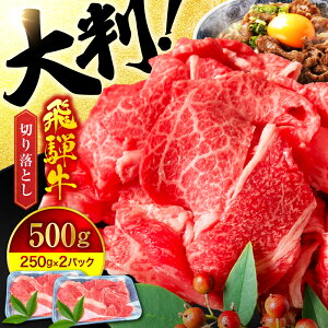 yӂ邳Ɣ[ŁzA5N ˋ ؂藎Ƃ 500g(250g×2) yLЃ}S[z ˋ ys[MBE002]
