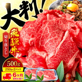 【ふるさと納税】【6回定期便】A5ランク 飛騨牛切り落とし 500g（250g×2）総計3kg【有限会社マルゴー】[MBE030]