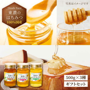 yӂ邳Ɣ[Łz100Y򕌂̖LȎRŎꂽẐ݂͂ 500ge3 v1500g(MtgZbg) ys VR Y M [MAB001]