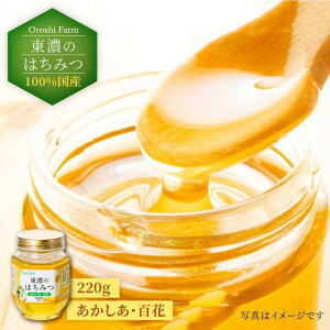 yӂ邳Ɣ[Łz100Y򕌂̖LȎRŎꂽẐ݂͂ 220g()ys M VR Y [MAB007]