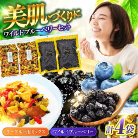 【ふるさと納税】ワイルドブルーベリー 700g セットA (ヨーグルト用ミックス)【多々楽達屋】tataratiyaドライフルーツ ポリフェノール [MAD014]