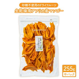 【ふるさと納税】＜食感も楽しめる＞生乾燥 南アフリカ産 マンゴー中パック255g【多々楽達屋】≪土岐市≫ドライフルーツ 砂糖不使用 厳選 たたらちや [MAD016]