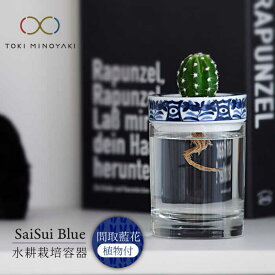 【ふるさと納税】【美濃焼】SaiSui Blue（間取藍花）植物付き【大東亜窯業】インテリア 雑貨 観葉植物 [MAG068]