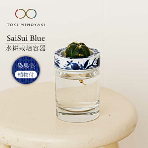 yӂ邳Ɣ[ŁzyZāzSaiSui BlueiʎjAty哌qƁzCeA G ϗtA [MAG069]