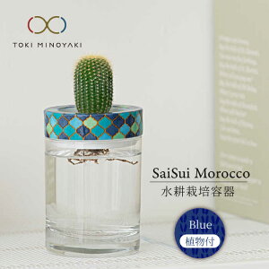 yӂ邳Ɣ[ŁzyZāzSaiSui MoroccoiBluejAty哌qƁzCeA G ϗtA [MAG071]