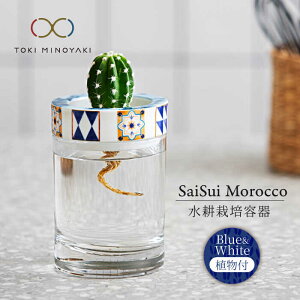 yӂ邳Ɣ[ŁzyZāzSaiSui MoroccoiBlueWhitejAty哌qƁzCeA G ϗtA [MAG072]