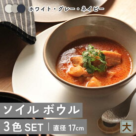 【ふるさと納税】【美濃焼】ソイル ボウル（大）3色セット【金正陶器】食器 鉢 サラダボウル≪土岐市≫ [MAK034]
