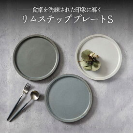 【ふるさと納税】【美濃焼】リムステップ プレート S 3色 セット【789プロジェクト】【一久】食器 皿 リムプレート [MAW018]