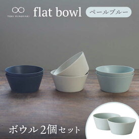 【ふるさと納税】【美濃焼】flat bowl ボウル 2個セット（ペールブルー）【KANEAKI SAKAI POTTERY】【TOKI MINOYAKI返礼品】≪土岐市≫ 食器 鉢 サラダボウル [MBC034]