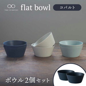 yӂ邳Ɣ[ŁzyZāzflat bowl {E 2ZbgiRogjyKANEAKI SAKAI POTTERYzyTOKI MINOYAKIԗizys H  T_{E [MBC035]