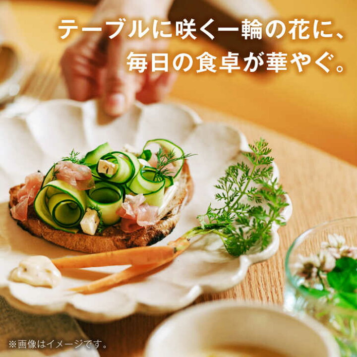 楽天市場】【ふるさと納税】【美濃焼】色が選べる リンカ 24プレート 2 