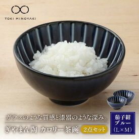 【ふるさと納税】【美濃焼】ぎやまん陶 カロリー茶碗 2個セット 茄子紺ブルー(Lサイズ)×茄子紺ブルー(Mサイズ) 【カネコ小兵製陶所】【TOKI MINOYAKI返礼品】食器 ご飯茶碗 ペア [MBD082]