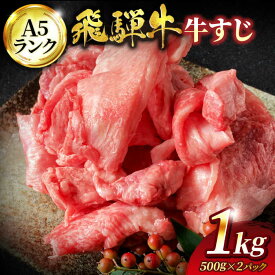 【ふるさと納税】A5ランク 飛騨牛 牛すじ 1,000g（500g×2）【有限会社マルゴー】 和牛 牛肉 小分け [MBE036]