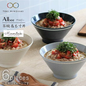 【ふるさと納税】【美濃焼】Albee 茶碗・6寸丼 3色×2 6点セット【みのる陶器】【TOKI MINOYAKI返礼品】≪土岐市≫ 食器 ボウル どんぶり [MBF004]