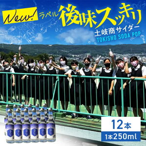 yӂ邳Ɣ[Łzy򏤃TC_[ 250ml 12{ZbgyÔT𑢁zY_ n  [MBK003]