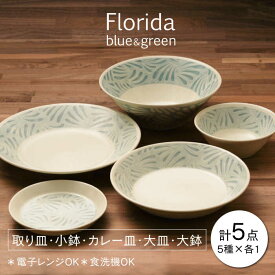 【ふるさと納税】【美濃焼】フロリダ ブルー＆グリーン 取り皿 小鉢 カレー皿 大皿 大鉢 食器セット（各1点合計5点）【うつわやさん－カネ忠】うつわ プレート 深皿 ≪土岐市≫[MBO036]