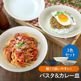 【ふるさと納税】【美濃焼】軽量トチリ パスタ＆カレー皿 3色セット【陶土う庵】（1054-0195）食器 深皿 プレート [MBY115]