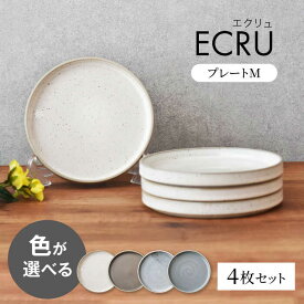 【ふるさと納税】色が選べる 【美濃焼】 ECRU プレートM 4枚セット　【見谷陶器】 シンプル プレート 取り皿[MCG034]