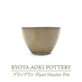 【ふるさと納税】【美濃焼】ブリンブリン Plant Hunter Pot【RYOTA AOKI POTTERY/青木良太】/ 陶芸家 プランター インテリア [MCH288]