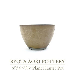 yӂ邳Ɣ[ŁzyZāzuu Plant Hunter PotyRYOTA AOKI POTTERY/ؗǑz/ | v^[ CeA [MCH288]