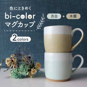 yӂ邳Ɣ[ŁzyZāzbi-color }OJbv 2FZbg (Eؗ)yR񐻓zys H R[q[Jbv eB[Jbv [MDA005]