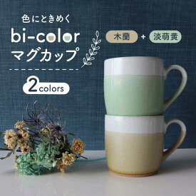 【ふるさと納税】【美濃焼】bi-color マグカップ 2色セット (淡萌黄・木蘭)【山二製陶所】≪土岐市≫ 食器 コーヒーカップ ティーカップ [MDA007]