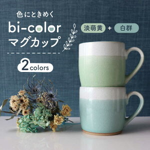 yӂ邳Ɣ[ŁzyZāzbi-color }OJbv 2FZbg (WGEQ)yR񐻓zys H R[q[Jbv eB[Jbv [MDA008]