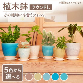 【ふるさと納税】色が選べる【美濃焼】植木鉢 ラウンドL ピンク【BIJINTOUKI/美人窯】 植物 サイズ おしゃれ 受け皿[MDF031]