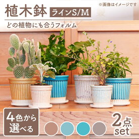 【ふるさと納税】【美濃焼】色が選べる 植木鉢 ラインS,M【BIJINTOUKI/美人窯】 植物 サイズ おしゃれ 受け皿[MDF048]