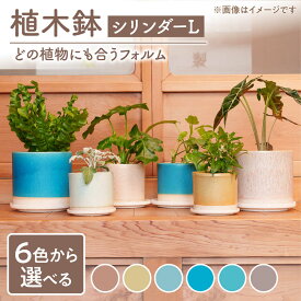 【ふるさと納税】【美濃焼】色が選べる 植木鉢 シリンダーL【BIJINTOUKI/美人窯】 植物 サイズ おしゃれ 受け皿[MDF052]
