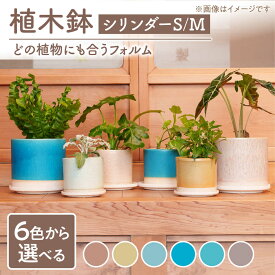 【ふるさと納税】【美濃焼】色が選べる 植木鉢 シリンダーS,M【BIJINTOUKI/美人窯】 植物 サイズ おしゃれ 受け皿[MDF058]