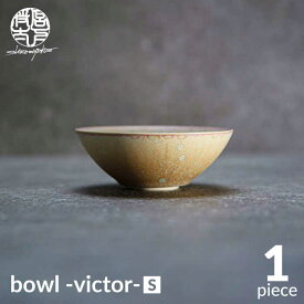 【ふるさと納税】【美濃焼】bowl -victor- S【陶芸家・宮下将太】食器 鉢 ボウル [MDL029]