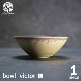 【ふるさと納税】【美濃焼】bowl -victor- L【陶芸家・宮下将太】食器 鉢 ボウル [MDL030]