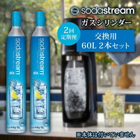 【ふるさと納税】【2本×2回定期便】ソーダストリーム ガスシリンダー交換用60L / SodaStream 炭酸水 水 ソーダ水 回収用送り状付き【ソーダストリーム】[MDN007]