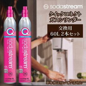 【ふるさと納税】ソーダストリーム クイックコネクトガスシリンダー 交換用 60L 2本セット / SodaStream 炭酸水 水 ソーダ水 回収用送り状付き【ソーダストリーム】[MDN012]