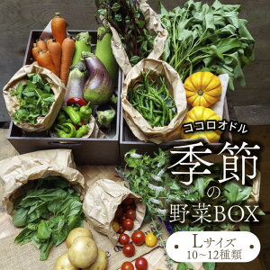 yӂ邳Ɣ[ŁzG߂̖BOX LTCY i10`12ށjyFarm Regaloz{ ① ܂ [MDU003]
