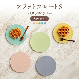 【ふるさと納税】【美濃焼】フラットプレート S パステルカラー 5色 セット【隆成】食器 皿 プレゼント[MFD006]