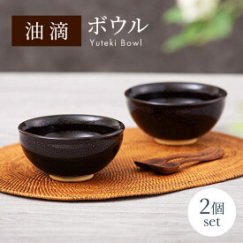 【ふるさと納税】【美濃焼】油滴 ボウル 2個セット【ヤマ正製陶所】食器 鉢 ペア [MFN001]