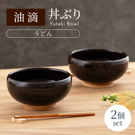 【ふるさと納税】【美濃焼】油滴 丼ぶり（うどん） 2個セット【ヤマ正製陶所】食器 麺鉢 どんぶり [MFN002]