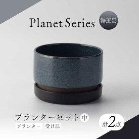 【ふるさと納税】【美濃焼】プラネットプランター 海王星 (中) 1セット【竜山窯】植物 植木 陶器[MFR013]