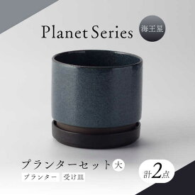 【ふるさと納税】【美濃焼】プラネットプランター 海王星 (大) 1セット【竜山窯】植物 植木 陶器[MFR014]